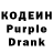Codein Purple Drank Dima Lokin
