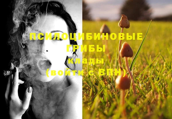 кристаллы Медвежьегорск
