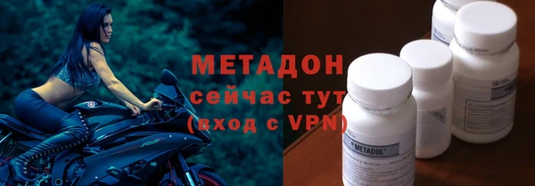 прущие грибы Магас